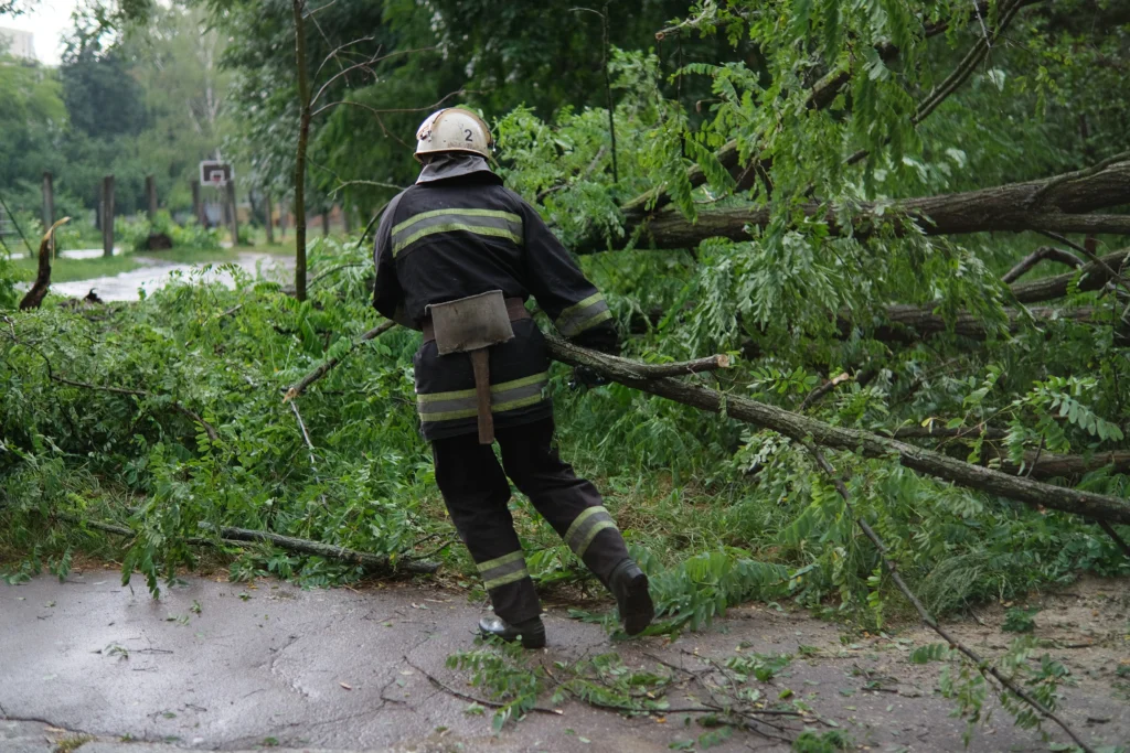 Emergency crew clearing storm-damaged trees fallen across a path