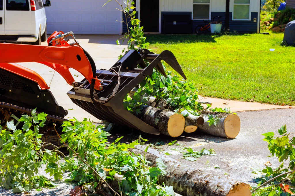 Skid steer grapple removing cut tree logs from a property